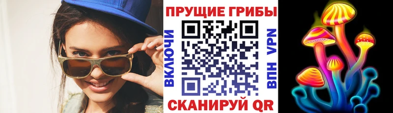 OMG ссылки  где можно купить наркотик  Новозыбков  Псилоцибиновые грибы мицелий 